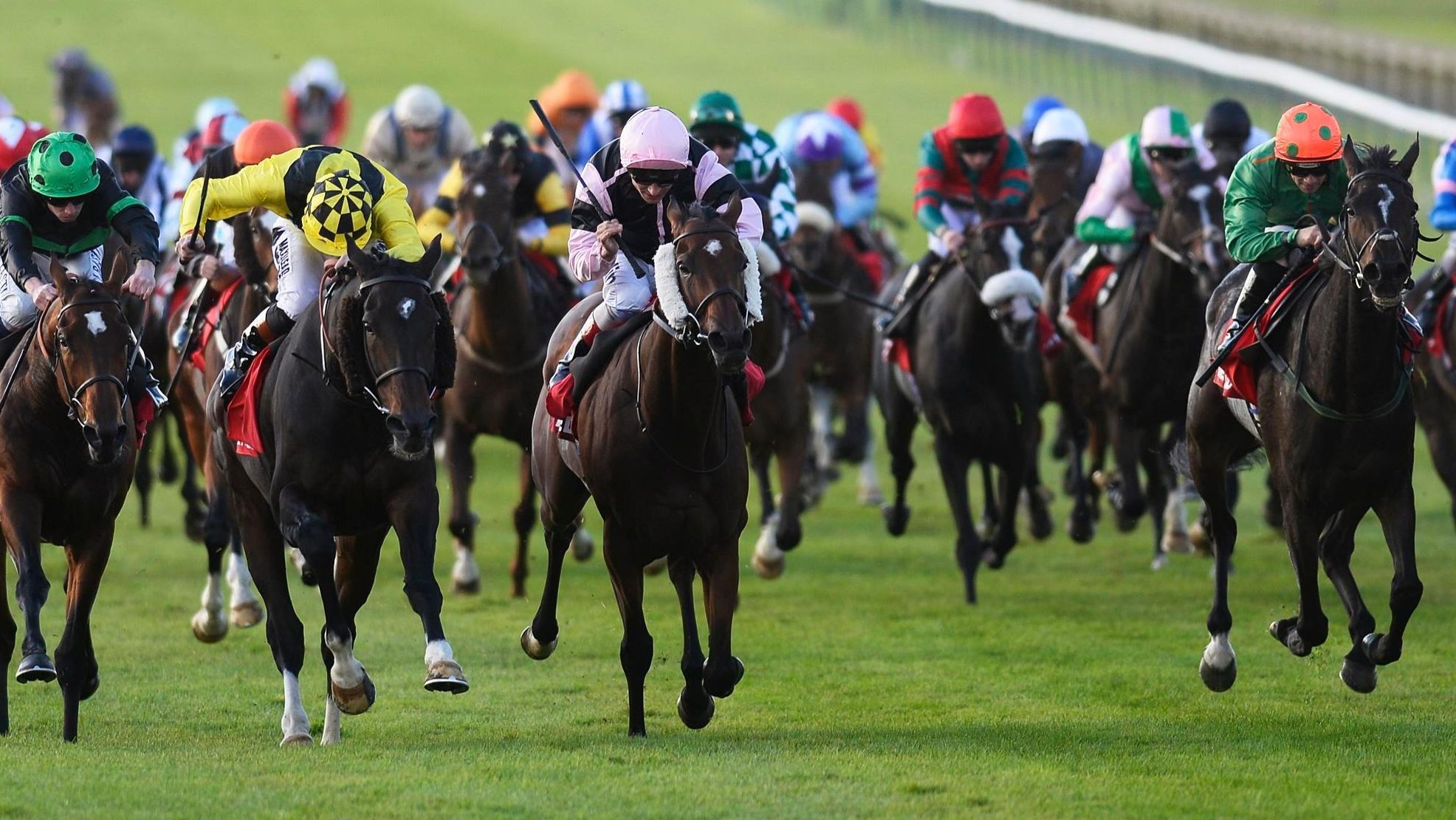A Review For Our Next Horse Race Of Interest On Betfair