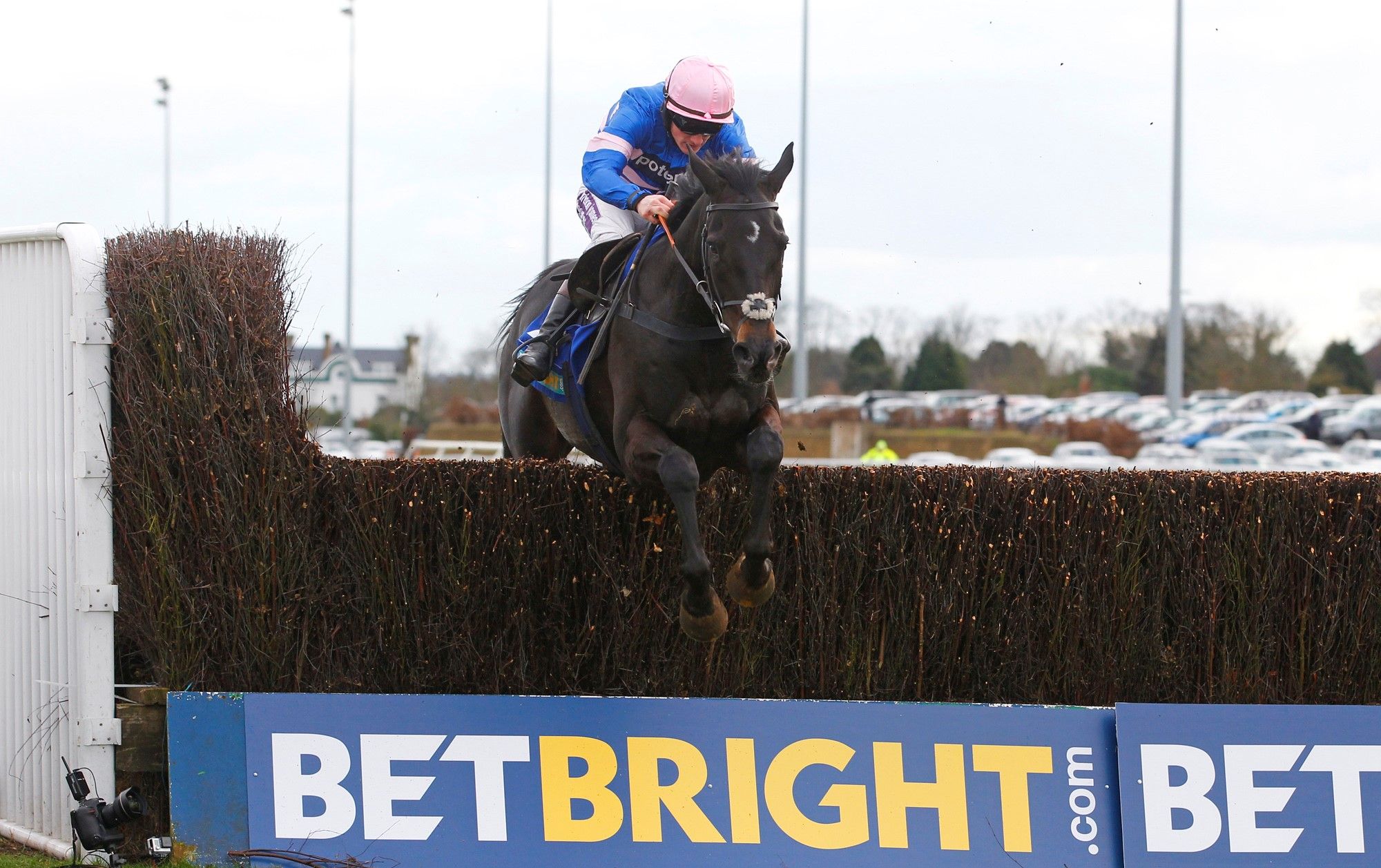 2017 BetBright Chase Betting Trends - Juicestorm