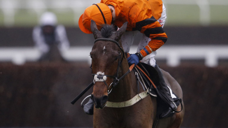 ... betting trends cheltenham festival betting tips by andy newton last