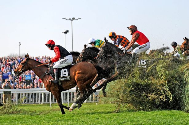 2019 Grand National Free Tips and Trends