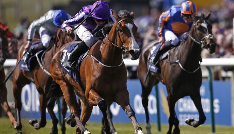 2021 Irish Derby Free Tips and Trends