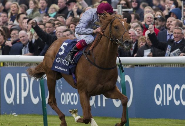 2021 2,000 Guineas Free Tips & Betting Trends