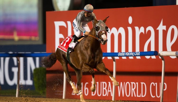 2020 Dubai World Cup Betting Guide & Trends