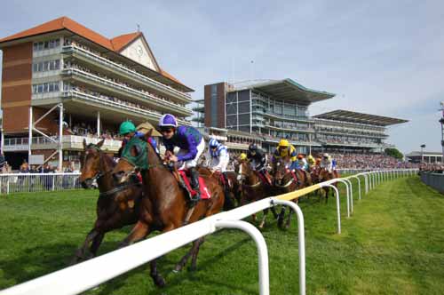 Free Horse Racing Tips and Trends: Saturday 18th July 2020