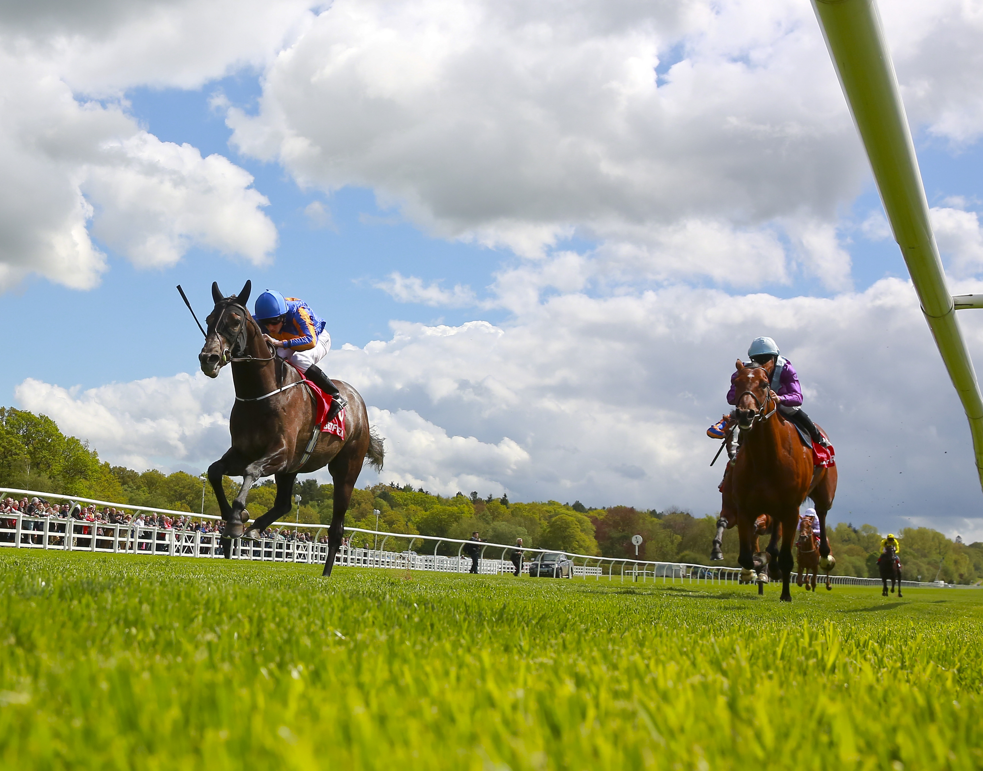 Lingfield Derby Trial 