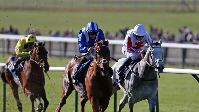 Free Horse Racing Tips and Trends: Sun 2nd May 2021