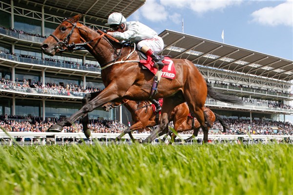 2021 Dante Stakes Free Tips and Trends