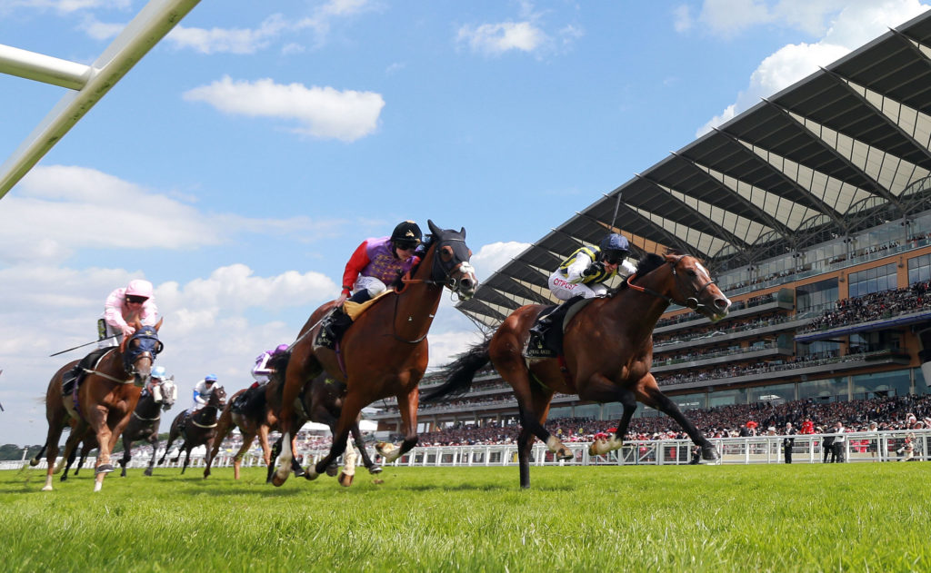 Free Horse Racing Tips and Trends: Saturday 24th July 2021