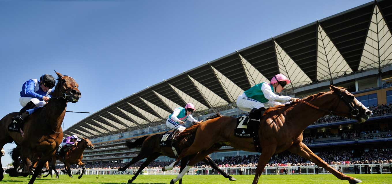 Saturday Horse Racing Tips and Trends: 16th Oct 2021