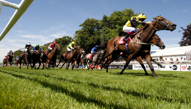 York Ebor Festival Trends & Tips: Sat 21st August 2021