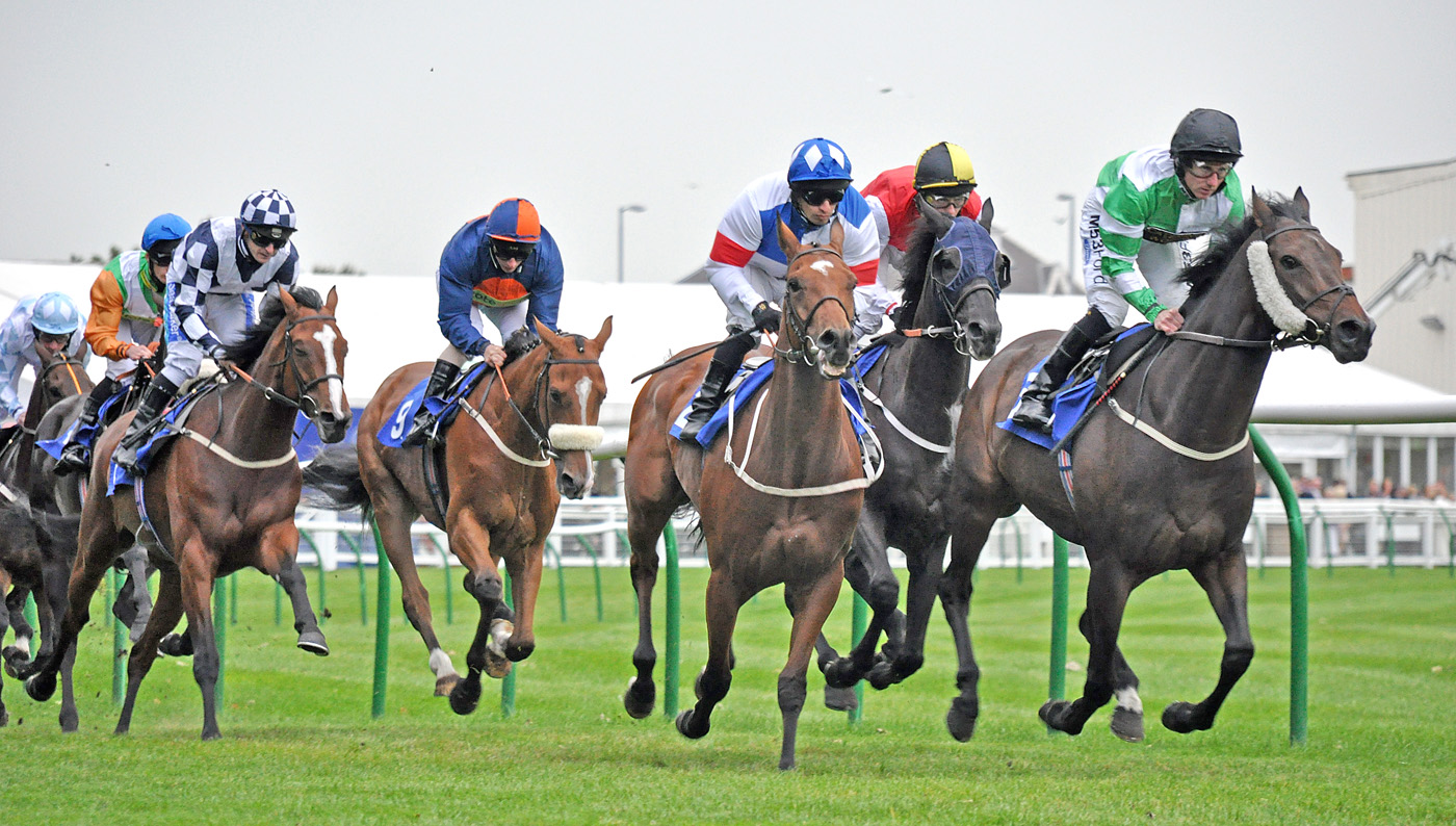 Free Horse Racing Tips For Saturday