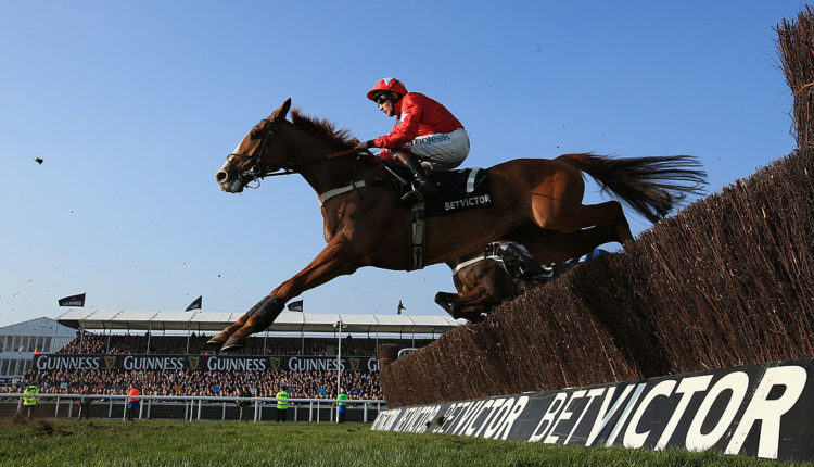 2019 BetVictor Gold Cup Betting Trends and Free Tips