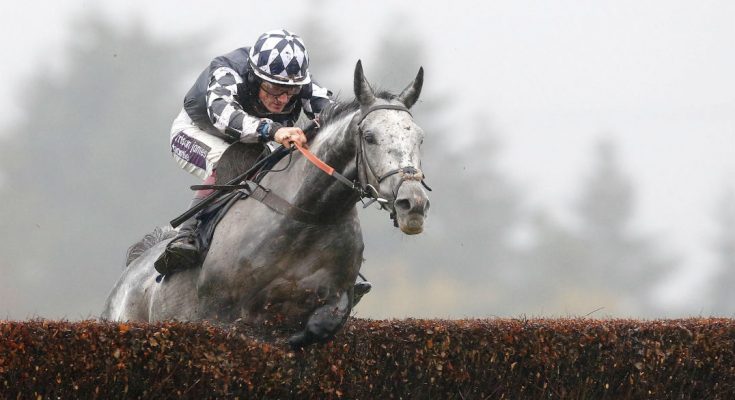 2021 Haldon Gold Cup Betting Trends & Tips