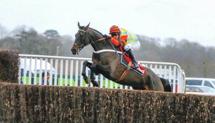 2018 King George VI Chase Betting Tips and Trends