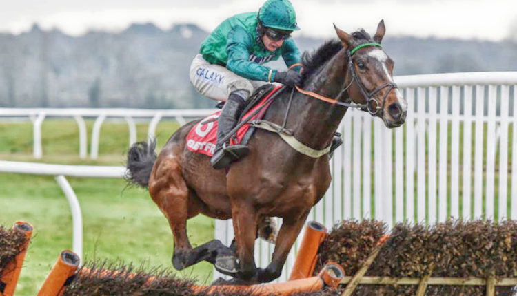 2020 Challow Hurdle Free Tips & Trends