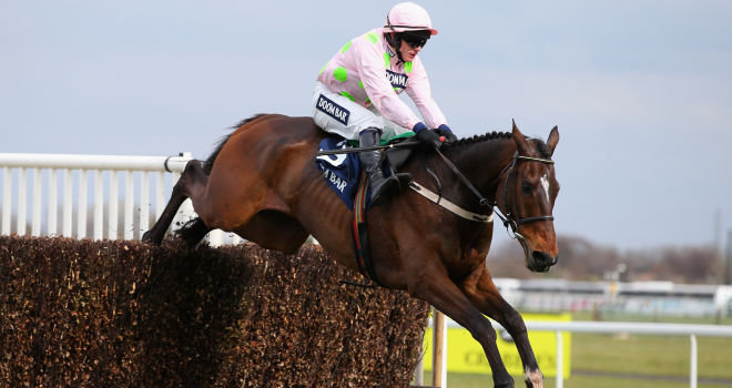 2021 Champion Chase Trends and Free Tips