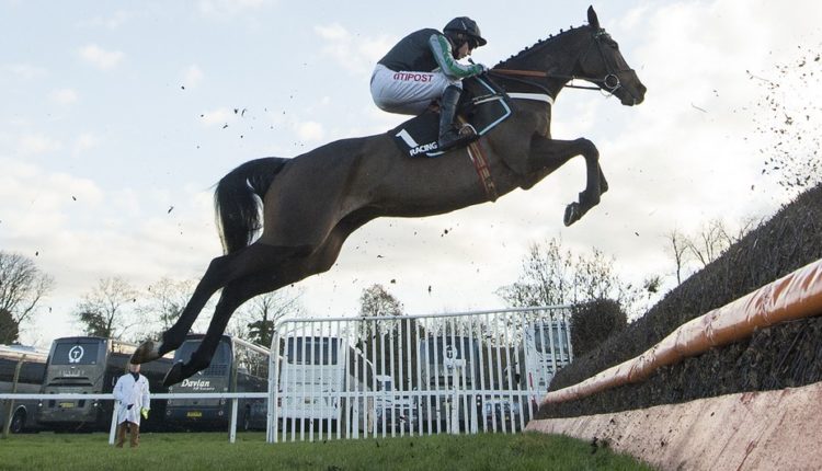 2019 Champion Chase Trends and Free Tips