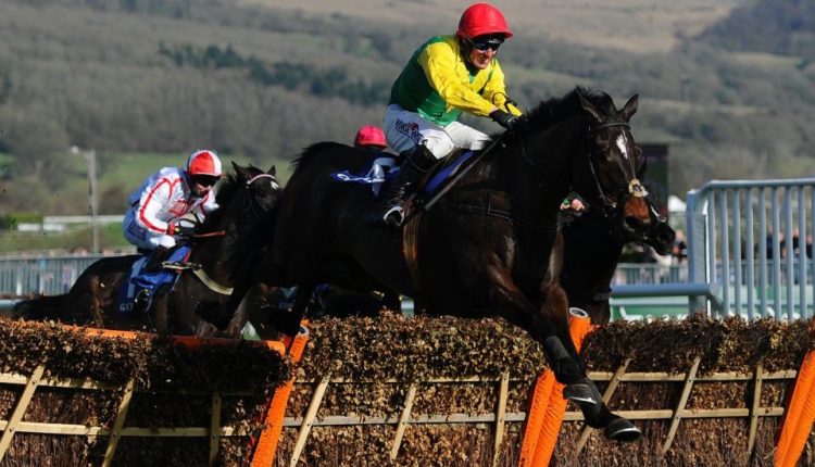2019 Stayers Hurdle Trends and Free Tips