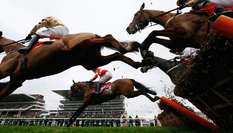 Horse Racing Tips and Stats