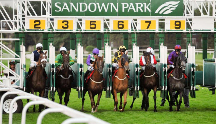 Saturday TV Trends and Tips: Sandown 21st Aug 21
