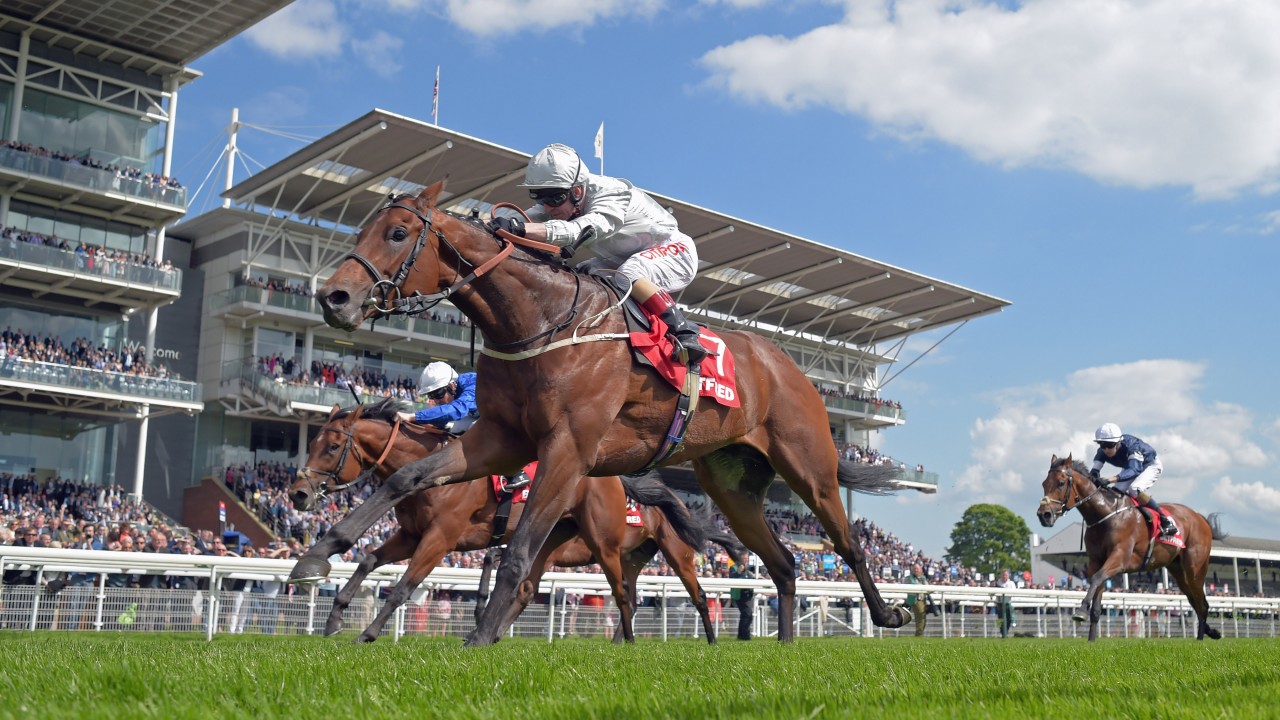 York Horse Racing TV Tips and Trends Thurs 9th July 2020 Betting