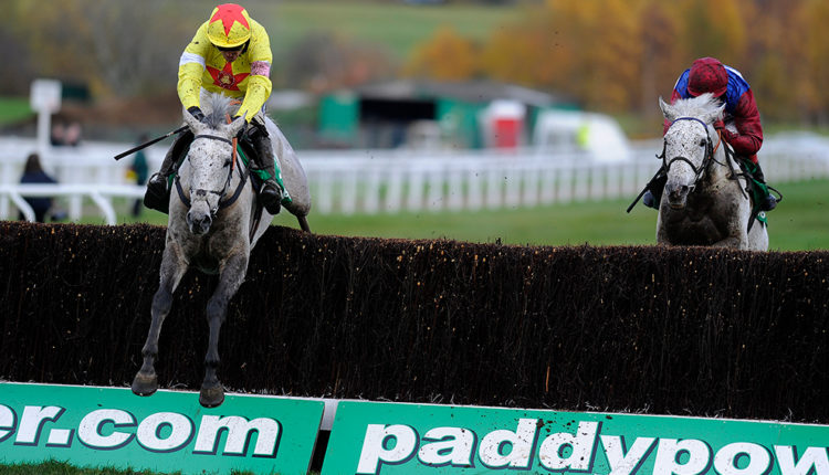 2021 Paddy Power Gold Cup Betting Trends and Free Tips
