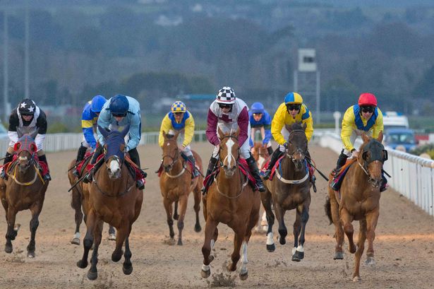 Free Horse Racing Tips and Trends: Saturday 26th June 2021