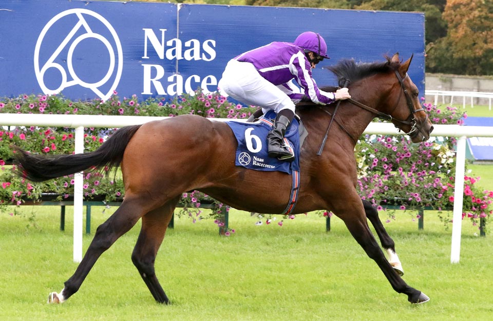 Naas Horse Racing Tips and Stats: Monday 23rd March 2020