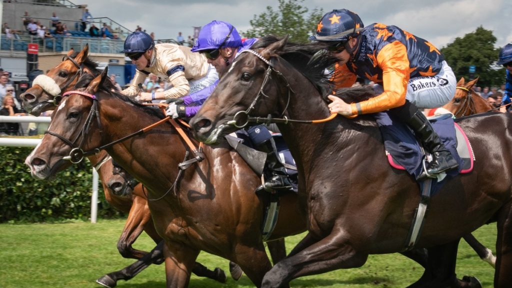 Doncaster Horse Racing Free Tips and Trends: Weds 8th Sept 2021