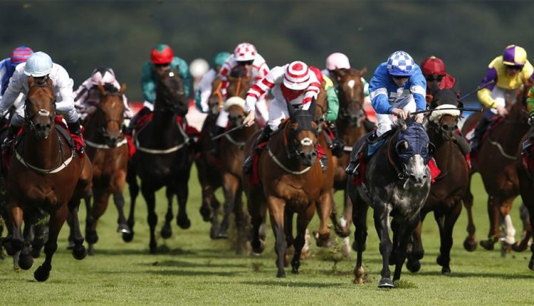 November Handicap Betting Trends and Tips