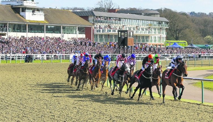 Lingfield TV Trends and Tips: Sat 13th Feb 2021