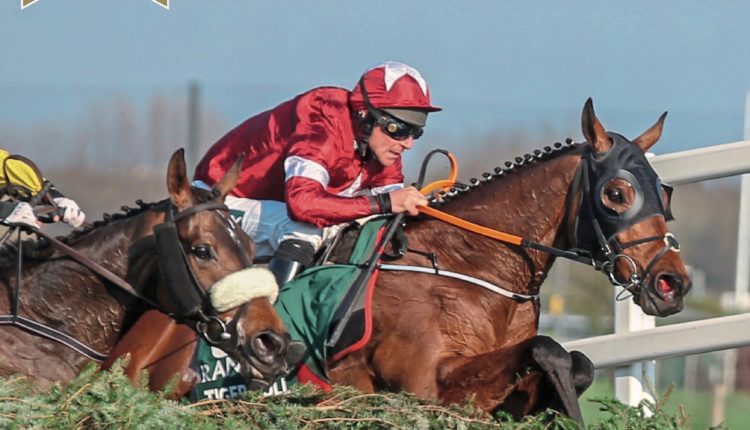 GRAND NATIONAL FESTIVAL BETTING GUIDE 2021 – FREE COPY