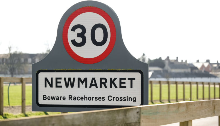 Newmarket Horse Racing