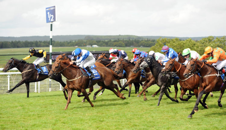 Free Horse Racing Tips and Trends