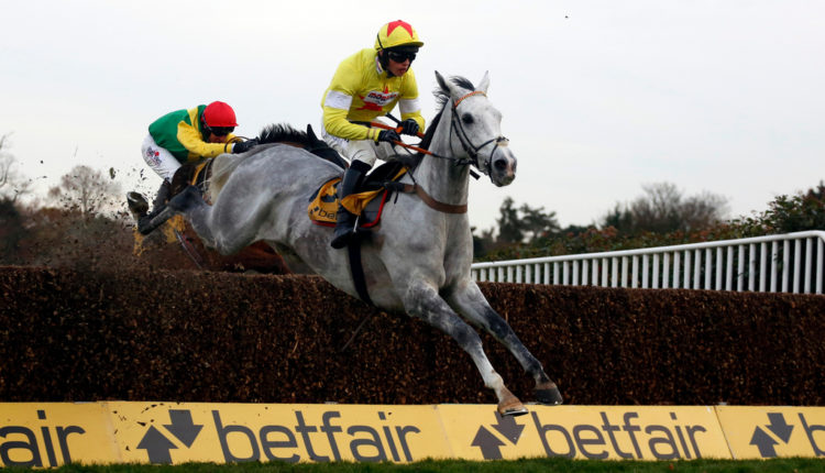 2021 Tingle Creek Chase Free Tips and Trends