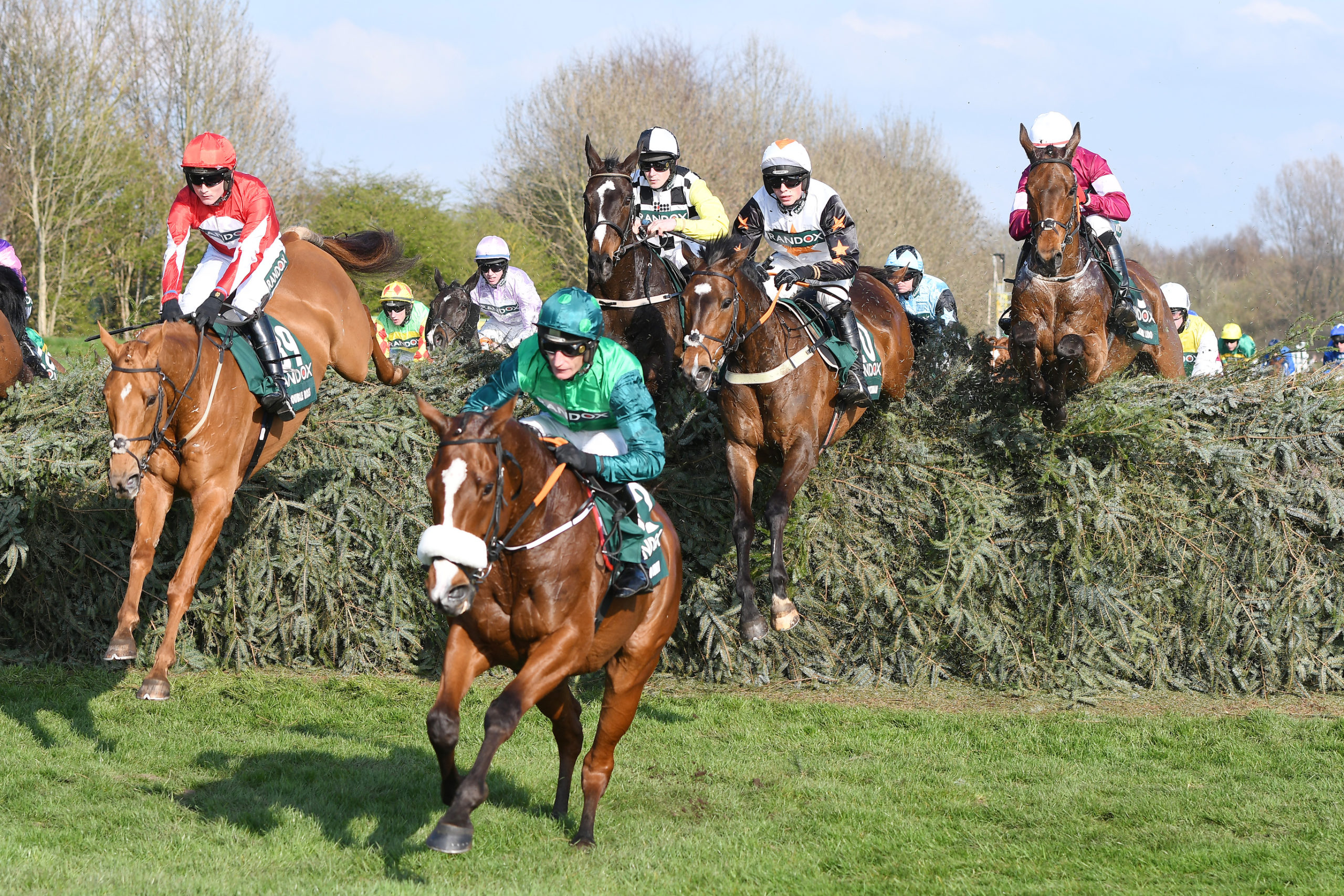 Saturday TV Horse Racing Trends Tips 6th Nov 2021 Betting Trading Saturday TV Horse Racing Trends Tips 6th Nov 2021 Betting Trading
