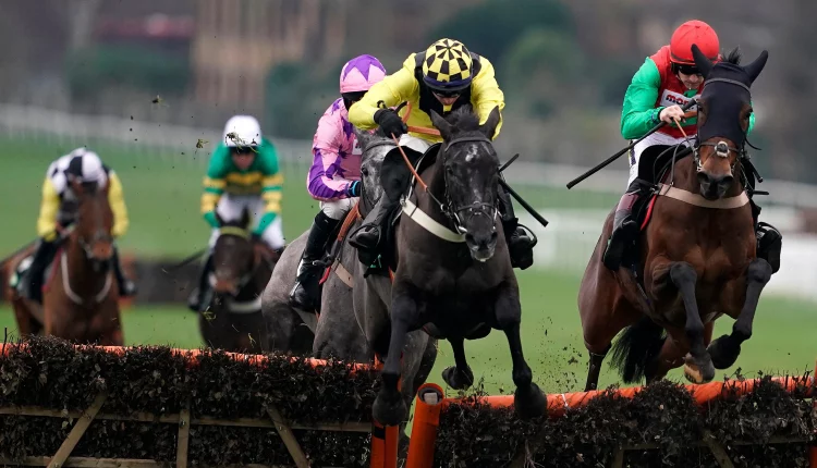Free Horse Racing Tips and Trends: Sat 8th Jan 2022